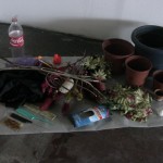 IMG_1691KN
